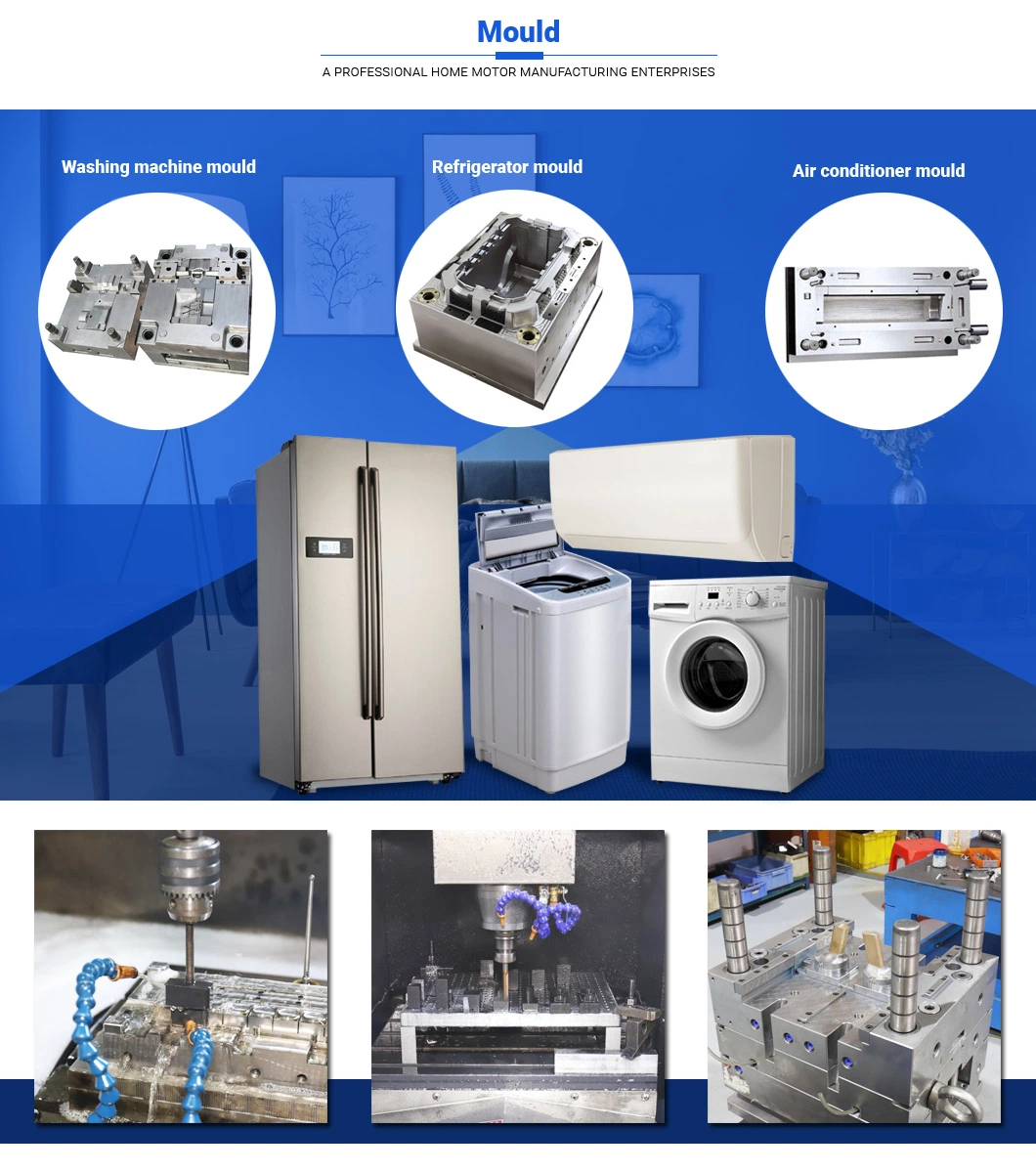 Ruijp Customized Multi Cavity Autocad Blood Collection Tube Plastic Injection Mould